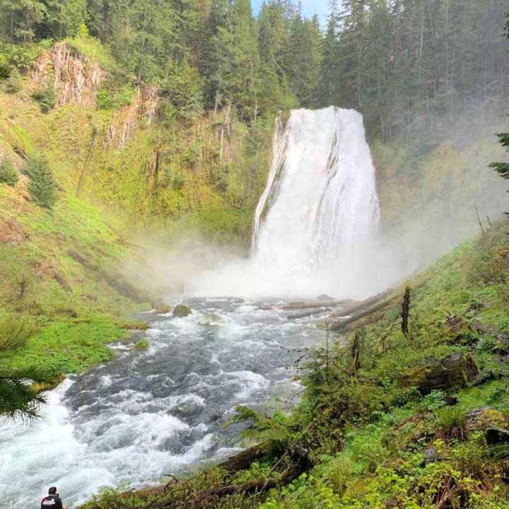 Secluded Glamping Honeymoon Booked - 3