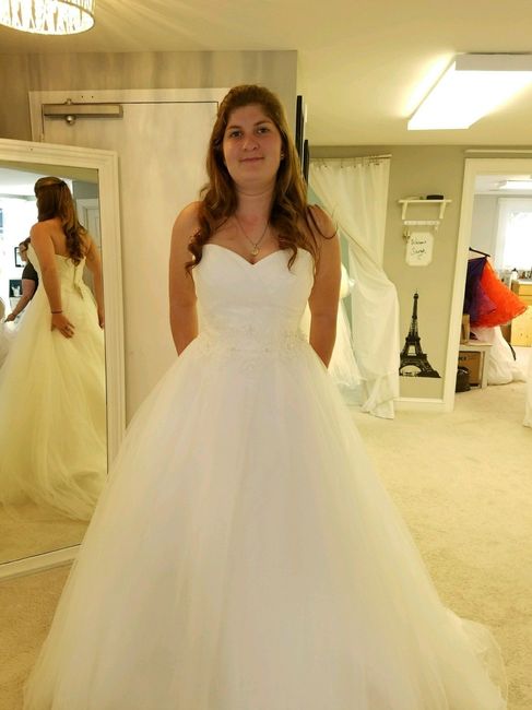 I picked up my dress
