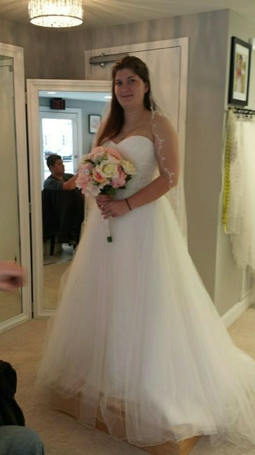 I picked up my dress