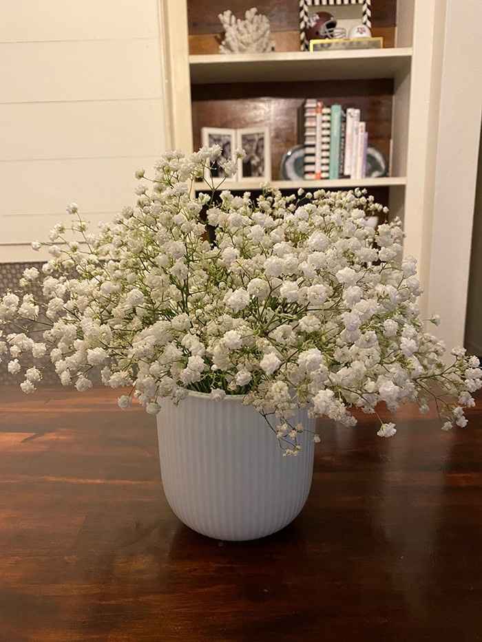 Does anyone have any experience ordering Sam's baby's breath? - 1