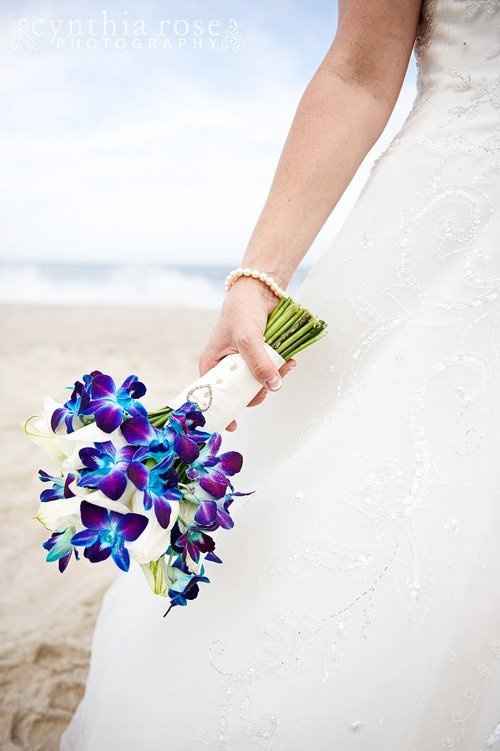 blue/purple orchards