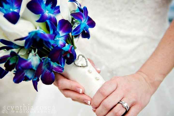 blue/purple orchards