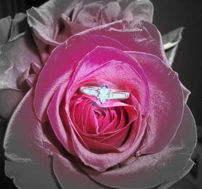 More engagement piictures