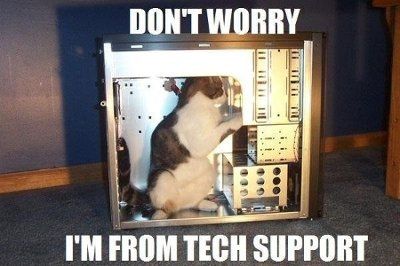 Friday Fun Picture Post