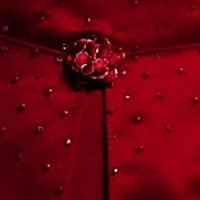 BM Dresses - Where did you get yours?