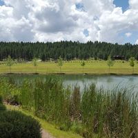 All the BAM's!!! (Really Pic Heavy)