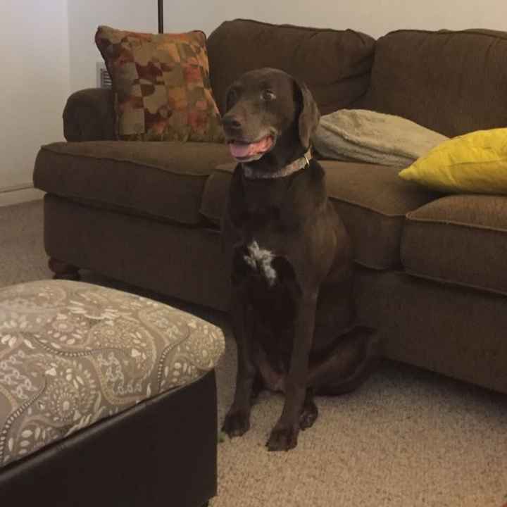 NWR: Bored? Show off your pets!