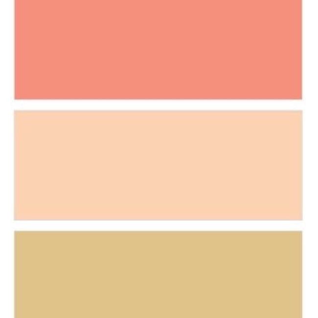 Finally Picked Our Colors