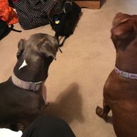 NWR snuggly Sundays!