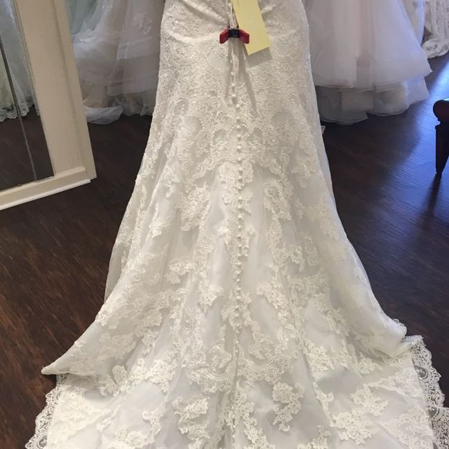 Dress Opinions? - 5