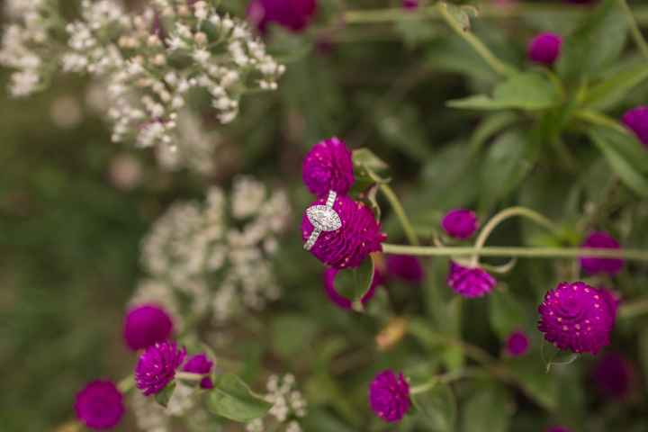 Pro Engagement Photos!