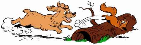 NWR - update on my furbaby