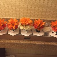 BAM (mostly non pro)