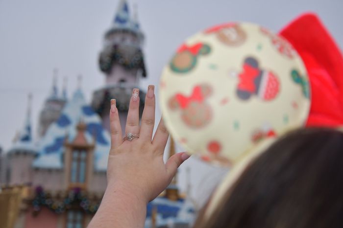 2024 Brides - Show us your ring! 2