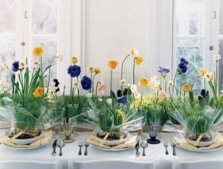 Potted Centerpieces