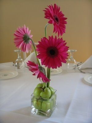 Flowers, flowers, flowers (Updated)