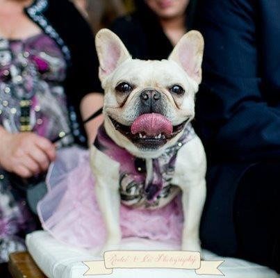 What a wedding! We got married!