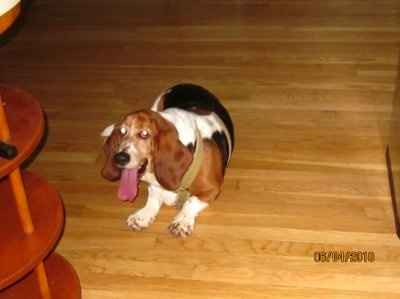 *NWR* Post pics of your furry (or not so furry) kids!