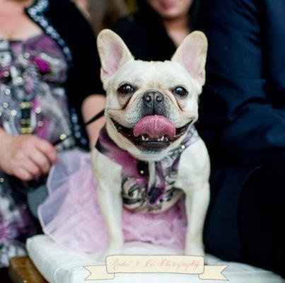 What a wedding! We got married!