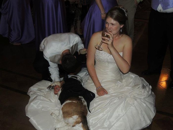 What a wedding! We got married!
