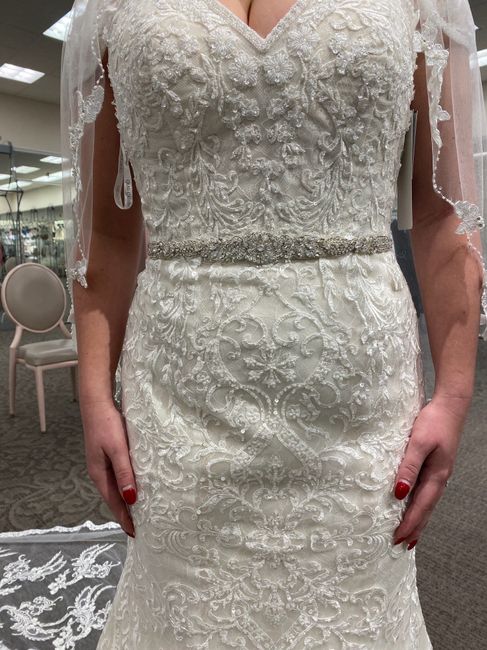 David's Bridal - is it good? i tried dresses on not expecting to find anything, and was surprised by