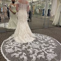 David's Bridal - is it good? i tried dresses on not expecting to find anything, and was surprised by