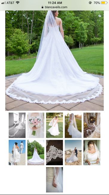 Veils - 3