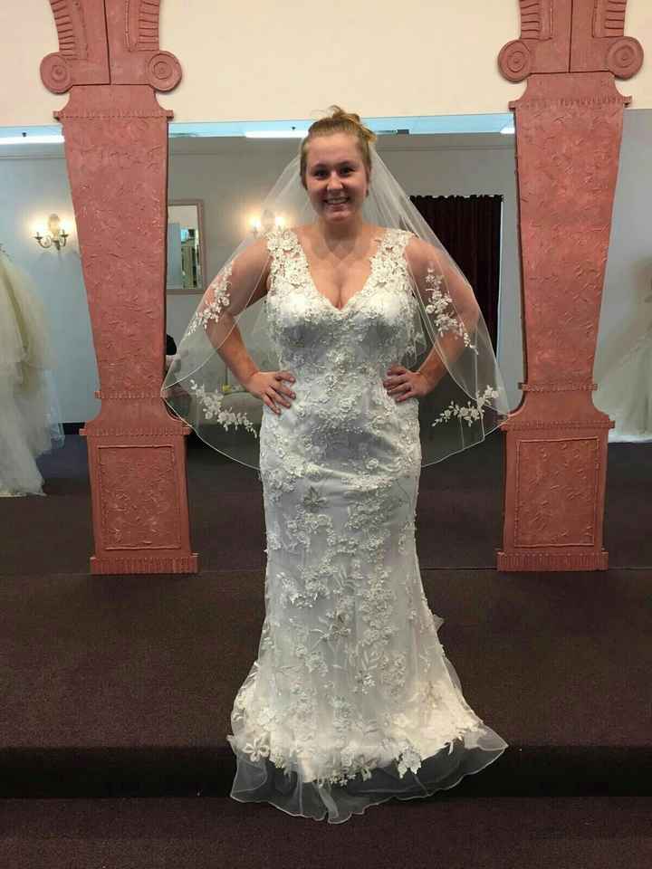 I found the gown!!