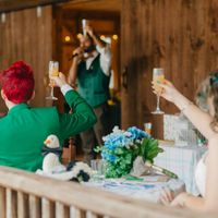 Plastic champagne flutes and water goblets? - 1