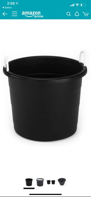 Kegs and keeping them cool? 1