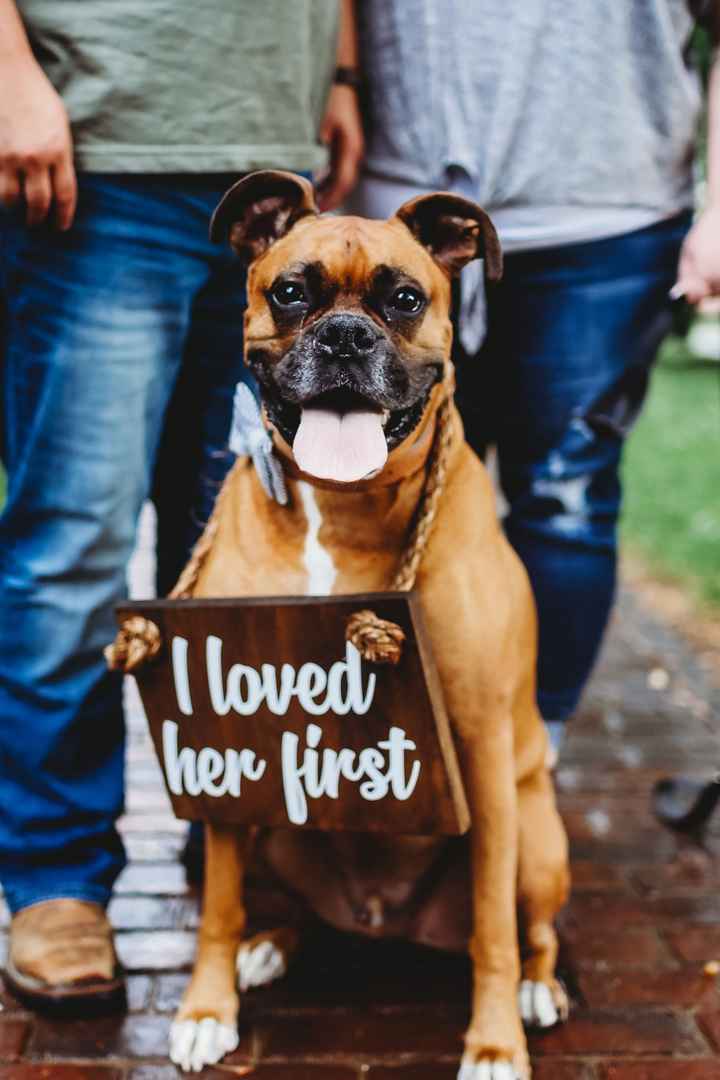 Engagement shoot and your pets - 1
