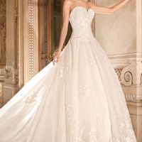 Have you tried on these Wedding Dresses?