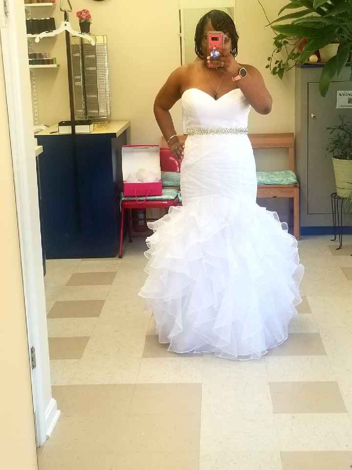 Wedding Dress Budget - 2