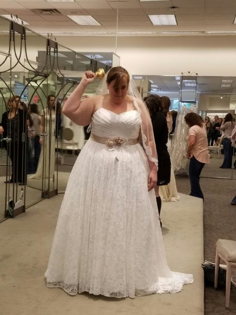Plus Size Lace or Tulle Wedding Dresses -- show me yours?