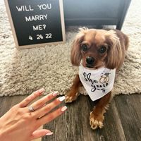 2023 Brides - Show us your ring! - 1