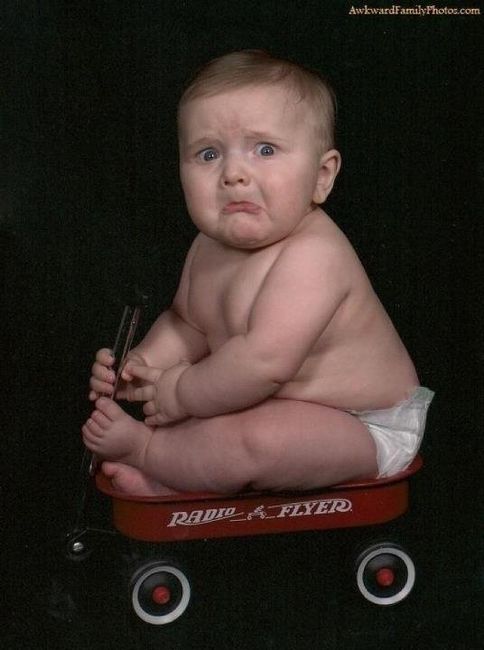NWR- Funny pictures!