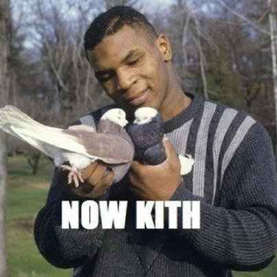 NWR- Funny pictures!