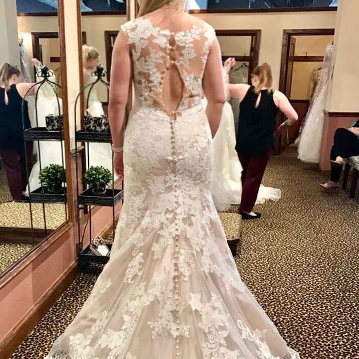 Needing Lady advice!