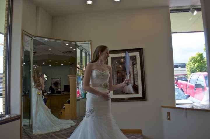 Wedding Dress Decision (Lots of Pictures)