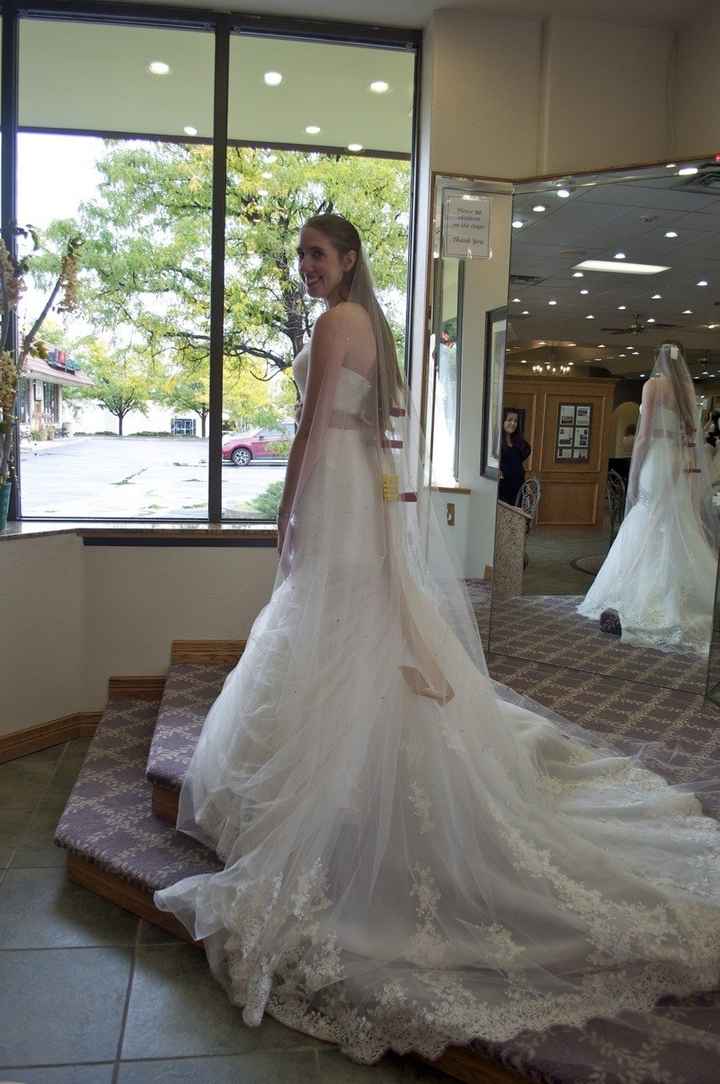 Wedding Dress Decision (Lots of Pictures)