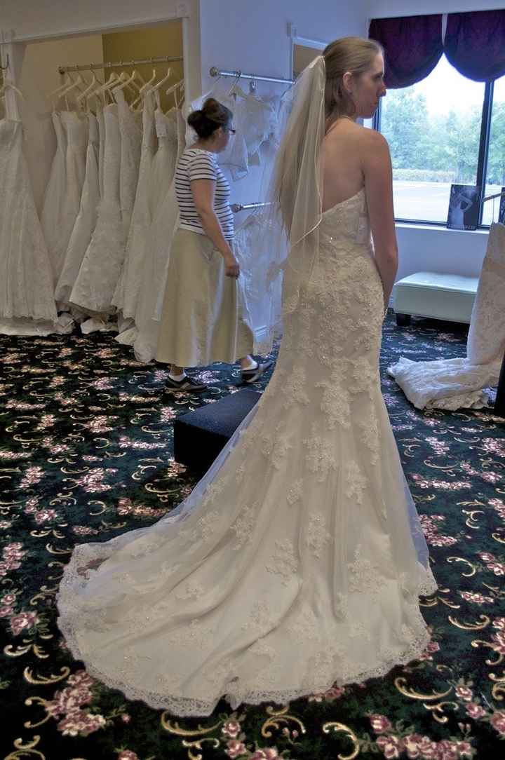 Wedding Dress Decision (Lots of Pictures)