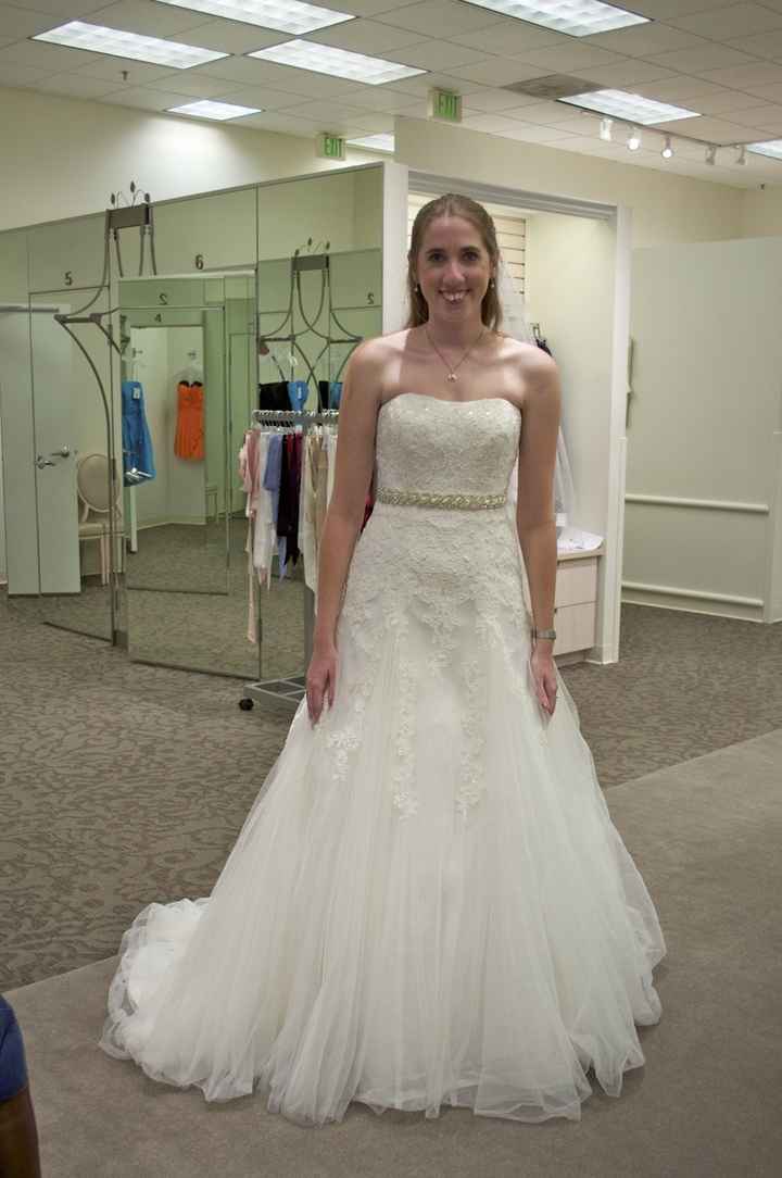 Wedding Dress Decision (Lots of Pictures)