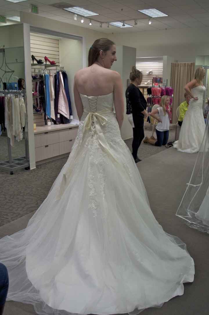 Wedding Dress Decision (Lots of Pictures)