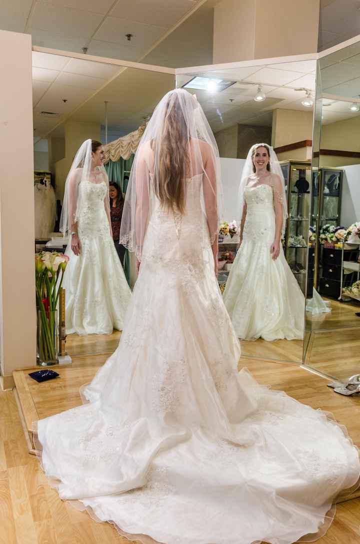 Help me say YES to the dress! (Pics)