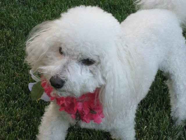 NWR Happy Fursday! Show me your fur babies!