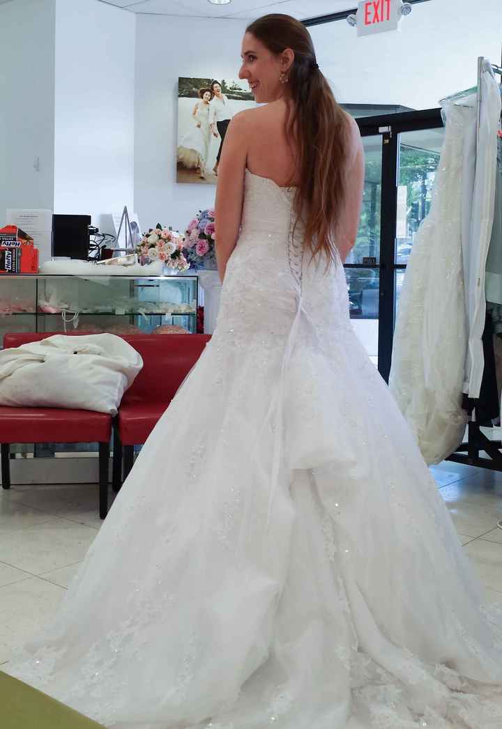Potential Bustles