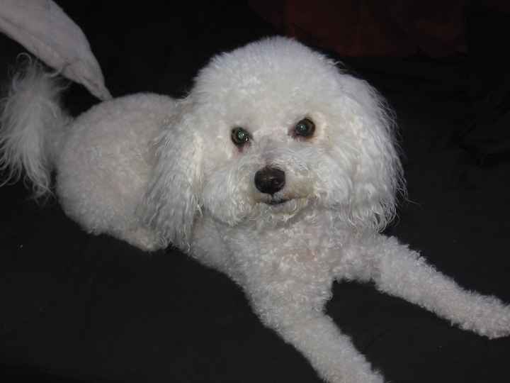 NWR: Share your funny pet stories!