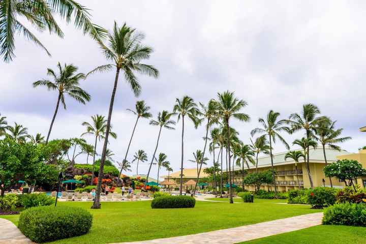 @HappyInHawaii - Burning Questions - Putting you on the spot about Hawaii!