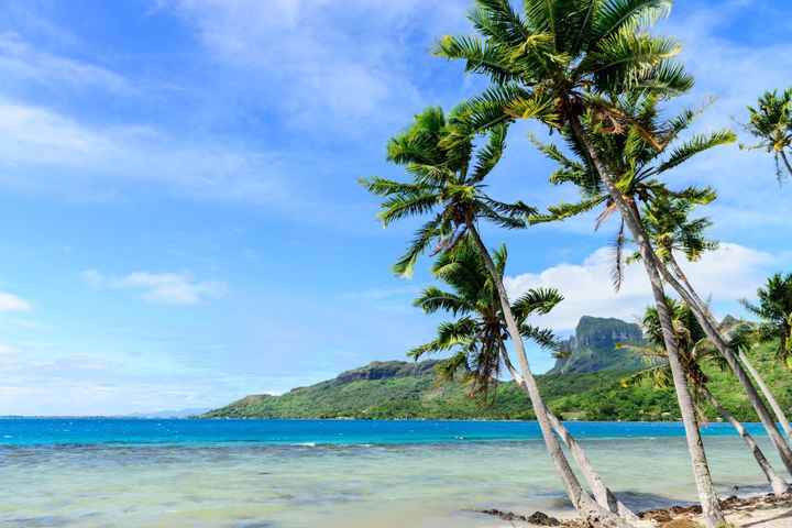 Back and Honeymooned - Tahiti, Bora Bora, Moorea (Pic Heavy!!)