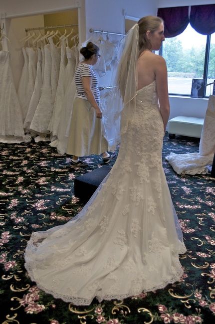Wedding Dress Decision (Lots of Pictures)
